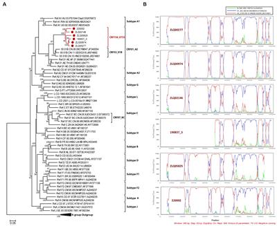 Molecular genetic characterization analysis of a novel HIV-1 circulating recombinant form (CRF156_0755) in Guangdong, China